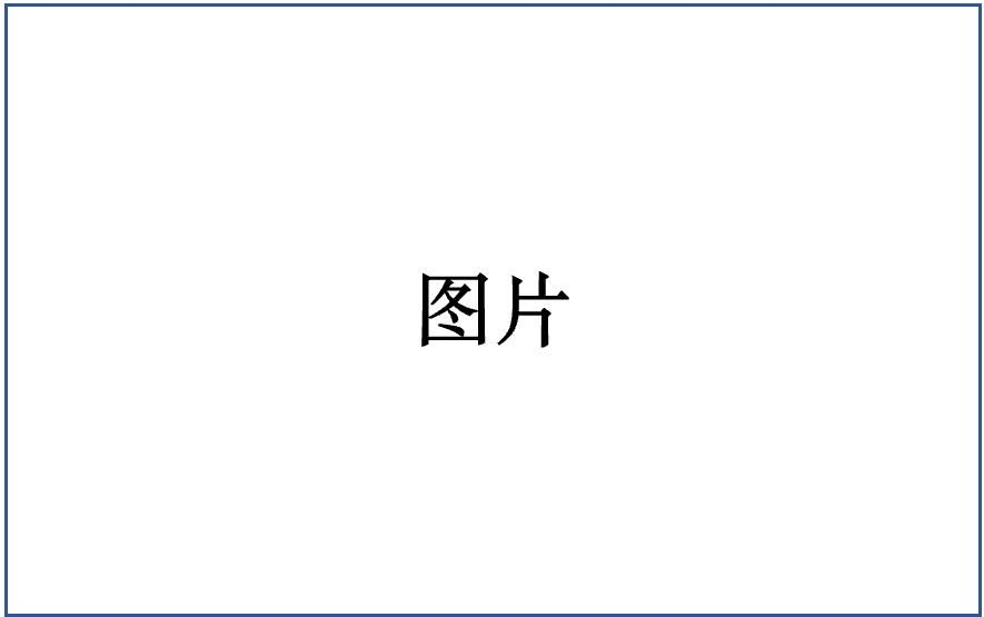 crop_1773887069659